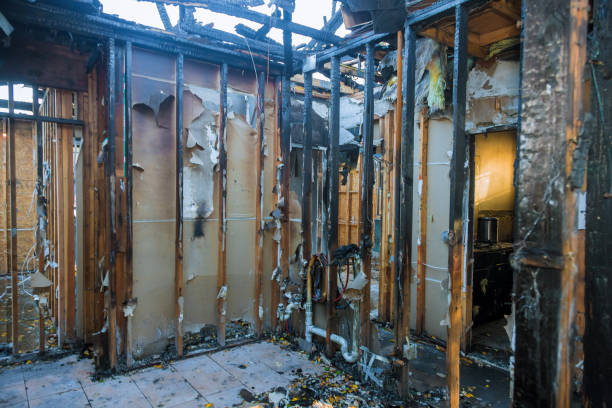 Professional Fire Damage Removal technician working in Avondale, PA